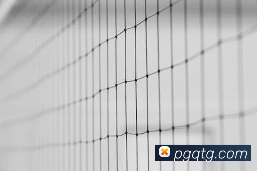 pg电子APP 体育赛事宣传图